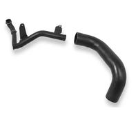 Sasic Manicotto turbo 3336012 per Ford Focus II 1.6 TDCi, C-Max DM2, Volvo C30