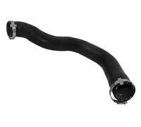 Sasic Tubo condotto aria Intercooler 3336055 per Ford Transit