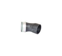 BUGIAD Flessibile aria alimentazione 82696 – Tubo per VW Touareg, Audi Q7 3.0 V6 Tdi