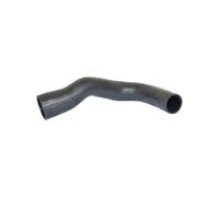 Originale BUGIAD Tubo di Aspirazione 85601 per Opel