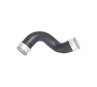 Tubo condotto aria Intercooler 87601 BUGIAD per SEAT VW SKODA AUDI
