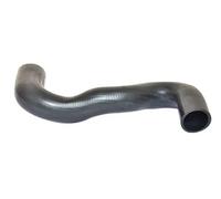 Tubo condotto aria Intercooler 88723 BUGIAD per PEUGEOT CITROËN