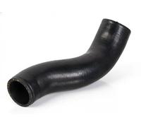 Tubo condotto aria Intercooler ACM (Poliacrilico- Caucciù) 181747 FEBI BILSTEIN