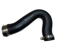 Tubo condotto aria Intercooler AEM (gomma etilene acrilato) 87644 BUGIAD per VW
