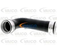 Tubo condotto aria Intercooler Gomma con anima di tessuto V10-3764 VAICO per VW