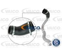 Tubo condotto aria Intercooler Gomma con anima di tessuto V25-1029 VAICO