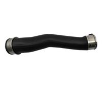 BUGIAD Tubo condotto aria plastica 82052 per BMW X3 E83 2.0d xDrive18d