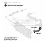 Tubo condotto aria Policloroprene (Neoprene) BTH1352 BORG & BECK