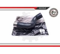 Tubo condotto aria Superiore 43SKV136 ESEN SKV per DACIA RENAULT