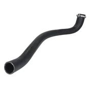 Tubo flessibile dell'aria di carica THERMOTEC DCG190TT