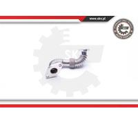 Tubo condotto valvola EGR 14SKV701 ESEN SKV per AUDI FORD VW MINI SKODA DODGE