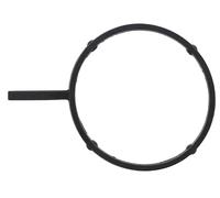 Guarnizione, condotto valvola EGR ELRING 496.200