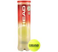 Palline da tennis Head Championship 4B
