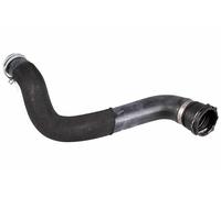 Tubo Del Radiatore Centro Destro METZGER Per OPEL ASTRA J