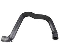 Tubo Del Radiatore Destro Inferiore METZGER Per MERCEDES A-CLASS (W169)