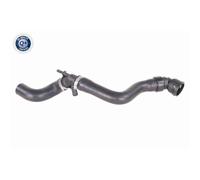 Tubo Del Radiatore Vaico Per Audi A3 Skoda Octavia VW Bora Golf