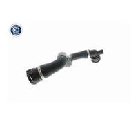 Tubo Del Radiatore Vaico Per BMW Z4