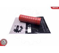 Tubo del turbocompressore MAN E 2000 TGA TGS