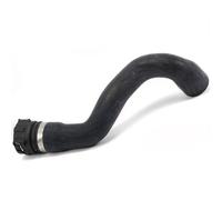 Tubo dell'acqua inferiore tra radiatore e termostato per BMW Z3 (E36)