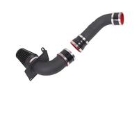 Tubo Di Aspirazione Dell'Aria Kit Tubo Di Aspirazione Aria Fredda Ad Alto Flusso Per Prestazioni Auto Per Ford Per Mustang 3.8L 4.6L 5.0L Gas 1987-2004 Con Filtro Dell'aria(RP-A018-BK)
