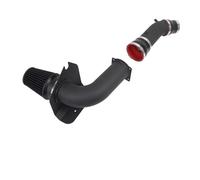 Tubo Di Aspirazione Dell'Aria Kit Tubo Di Aspirazione Aria Fredda Ad Alto Flusso Per Prestazioni Auto Per Ford Per Mustang 3.8L 4.6L 5.0L Gas 1987-2004 Con Filtro Dell'aria(RP-A015-BK)