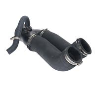 Tubo di Aspirazione Filtro Aria per Ford F150 F250 F350 Bronco 5.0L 5.8L