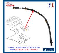 Kit Rampa di Ritorno Iniettori Pinze Peugeot Partner Esperto Rifter 1.6 Bluehdi