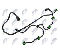 Tubo di spurgo iniettore BPP-FR-022 NTY per FORD TRANSIT TOURNEO Autobus