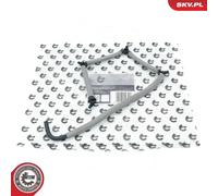 Tubo di spurgo iniettore Common Rail 54SKV284 ESEN SKV per VOLVO V50 V70 III C30