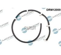Tubo di spurgo iniettore Common Rail DRM12009 Dr.Motor Automotive