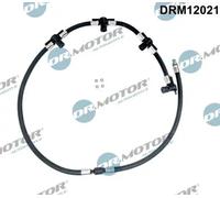 DR.MOTOR AUTOMOTIVE Flessibile, Carburante perso