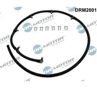 Tubo di spurgo iniettore Common Rail DRM2001 Dr.Motor Automotive per BMW 5 X5 7