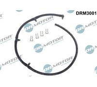 DR.MOTOR AUTOMOTIVE DRM3001 Flessibile, Carburante perso