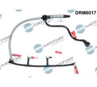 DR.MOTOR AUTOMOTIVE DRM6017 Flessibile, Carburante perso
