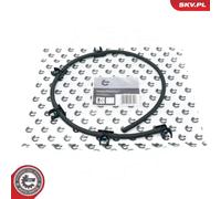 Tubo di spurgo iniettore Pompa d'iniezione distributrice 54SKV351 ESEN SKV