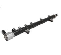 Tubo distributore, carburante DELPHI 28252069-12B1