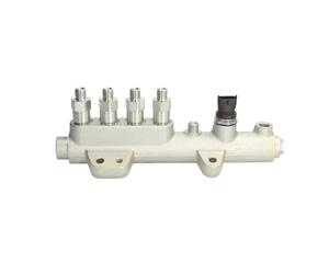 Tubo distributore, common rail BOSCH 0 445 224 036