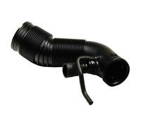 Tubo flessibile, Alimentazione aria per AUDI SEAT SKODA VW A3 BORA GOLF LEON OCT
