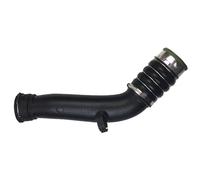 Tubo Flessibile Aspirazione Compatibile Con Per X1 E84 Z4 E89 1 Pz 13717588283 Auto Turbocompresso Tubo Aria Tubo Di Aspirazione Tubo Di Aspirazione Aria Guida Tubo Turbo Tubo