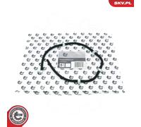 Tubo flessibile, Carburante perso per VOLVO C30 C70 S40 S60 S80 V50 V70 XC60 XC7