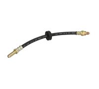 Tubo flessibile del freno ABE C83210ABE