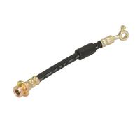 Tubo flessibile del freno ABE C87197ABE