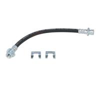 Tubo flessibile del freno DELPHI LH6493, destro