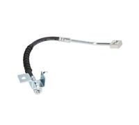 Tubo flessibile del freno DELPHI LH6579, sinistro