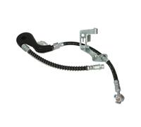 Tubo flessibile del freno DELPHI LH6871 sinistro, destro