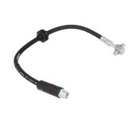 Tubo flessibile del freno DELPHI LH6981, destro
