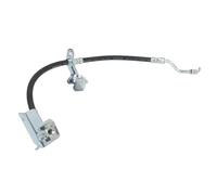 Tubo flessibile del freno DELPHI LH7629