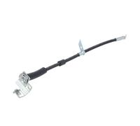 Tubo flessibile del freno DELPHI LH7778