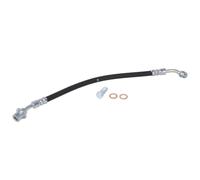 Tubo flessibile del freno DELPHI LH7810