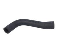 Tubo flessibile del radiatore AUGER 69418